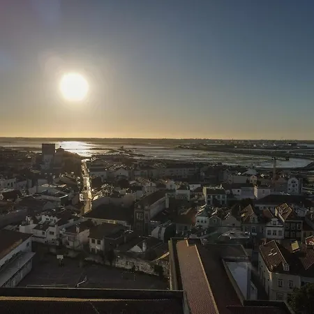 Aveinest - Your In *